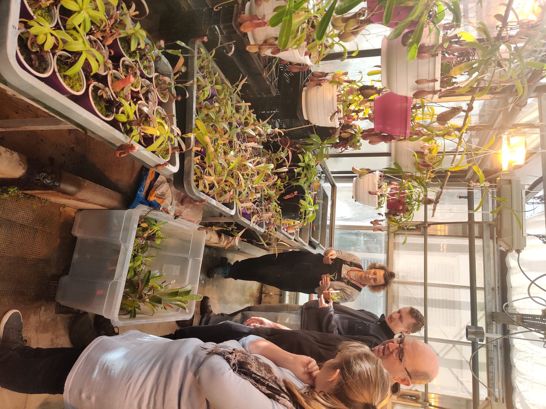 食虫植物コレクションを受け渡し