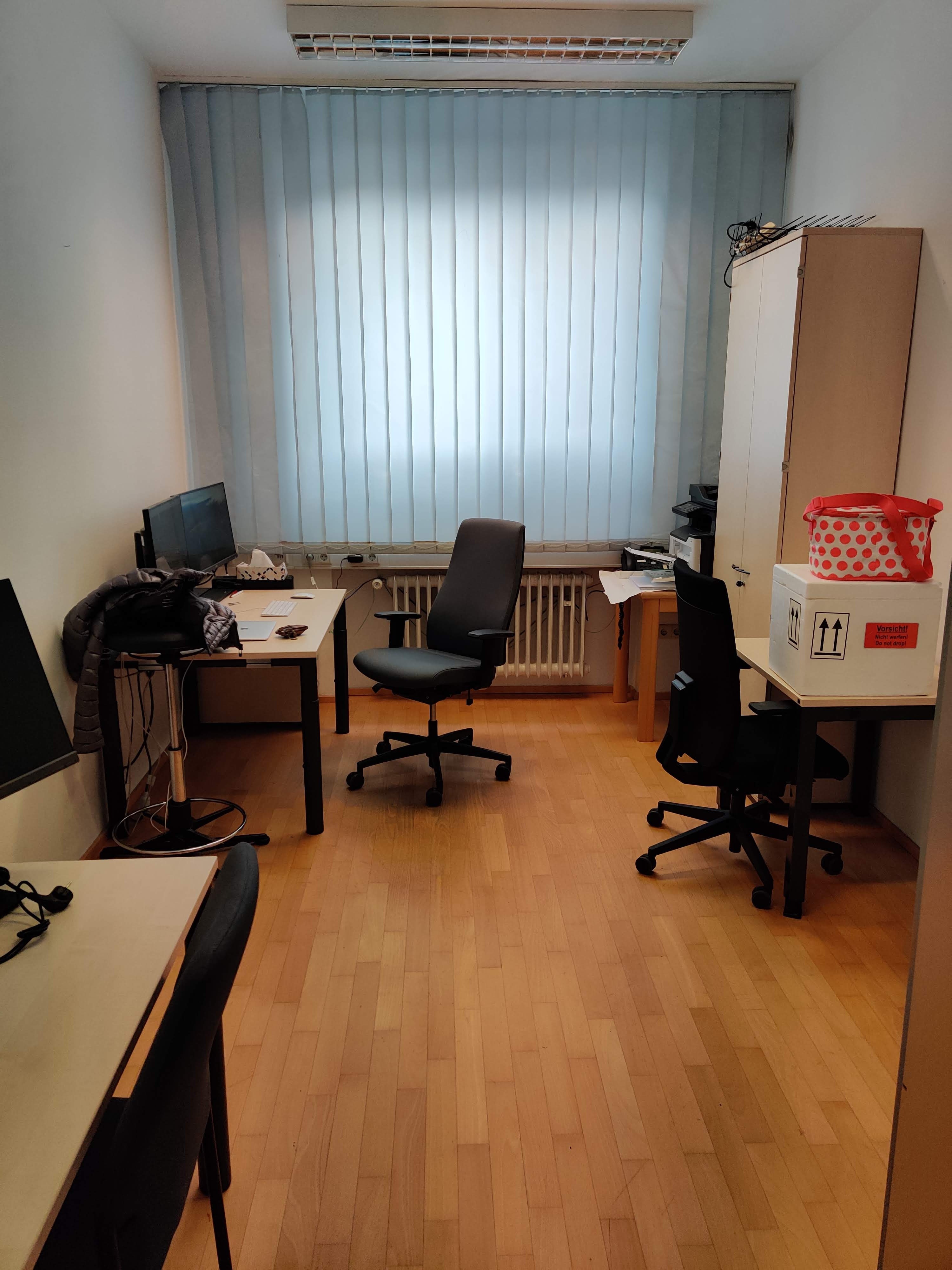 ヴュルツブルク大学での様子 2