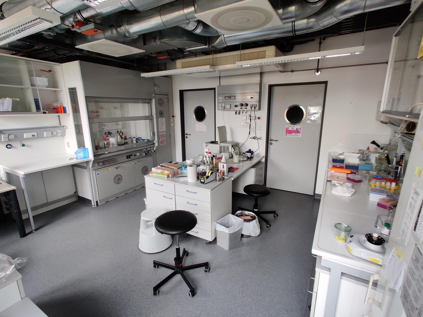 ヴュルツブルク大学での様子 4