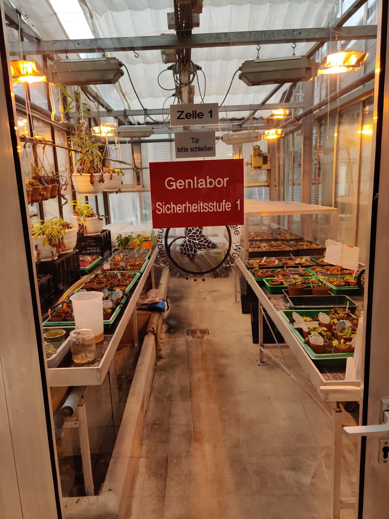 ヴュルツブルク大学での様子 5