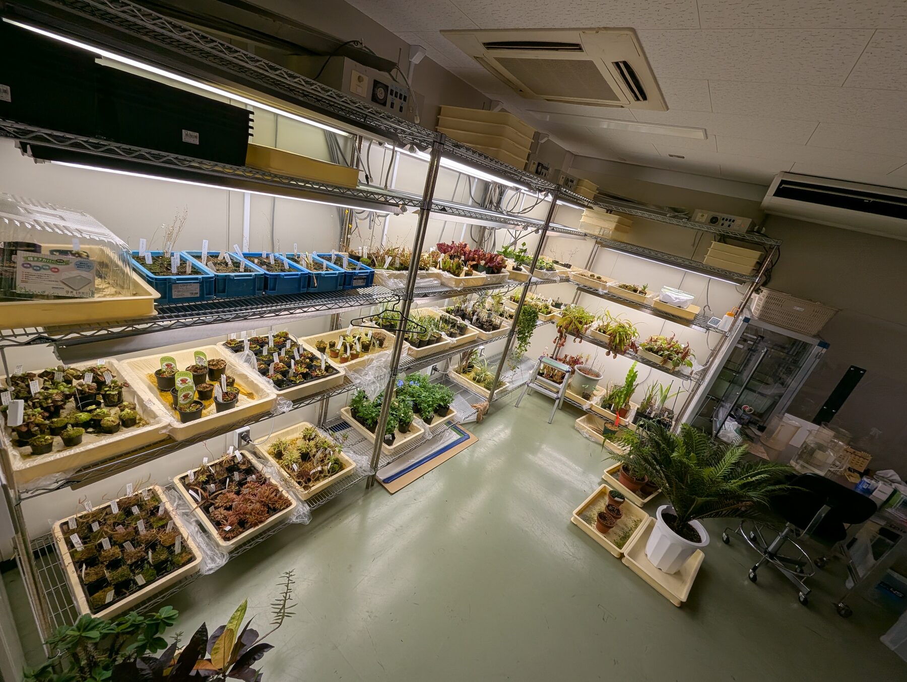 栽培室で多様な植物を育成している様子