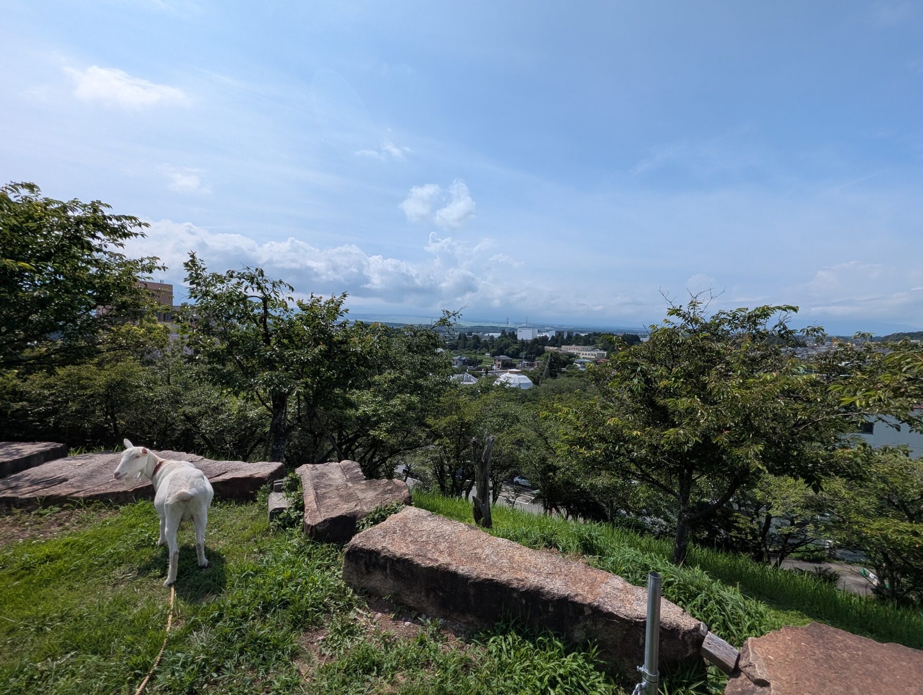 NIG Retreat での景色