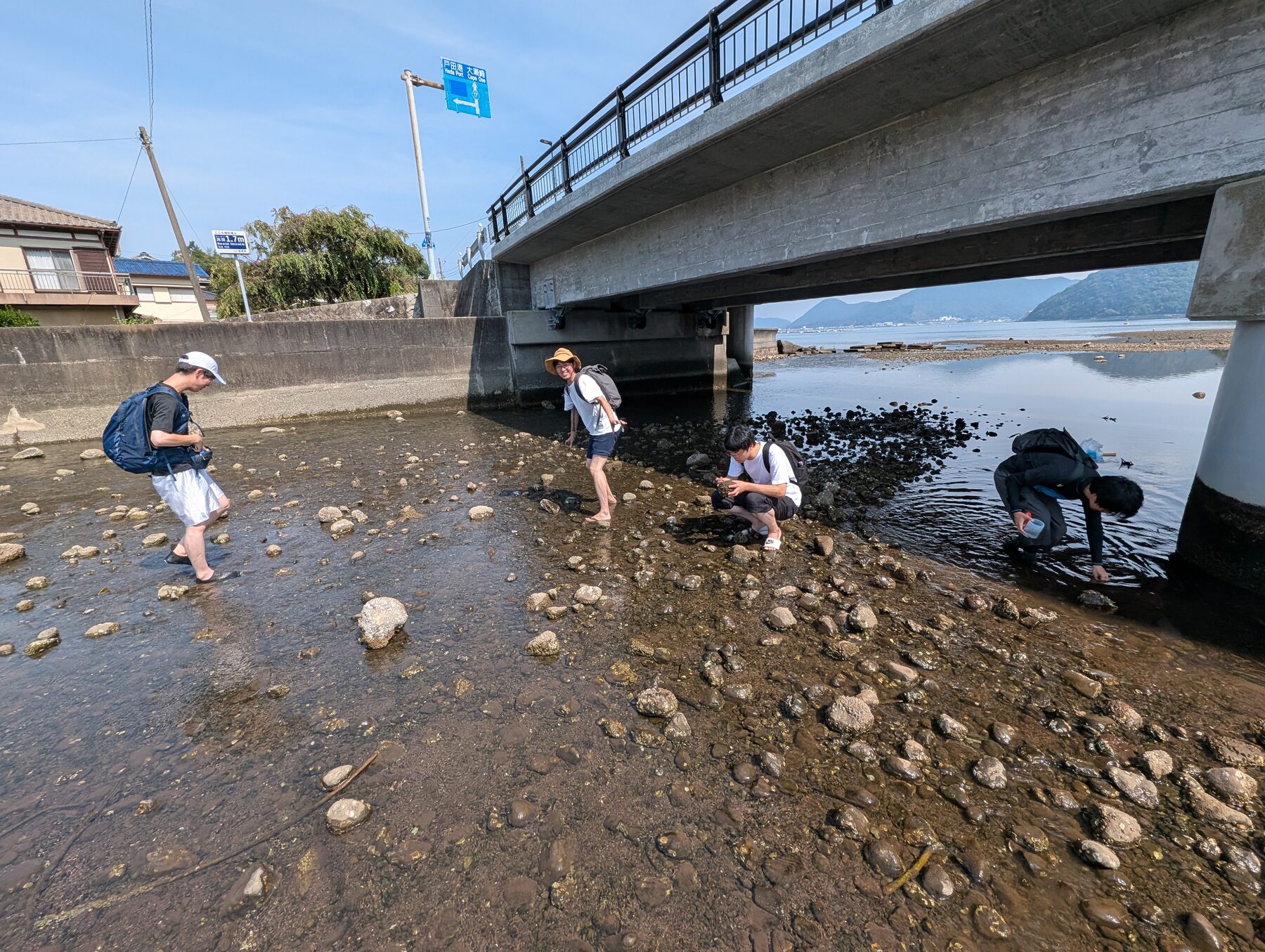 イソコツブムシ採集の様子