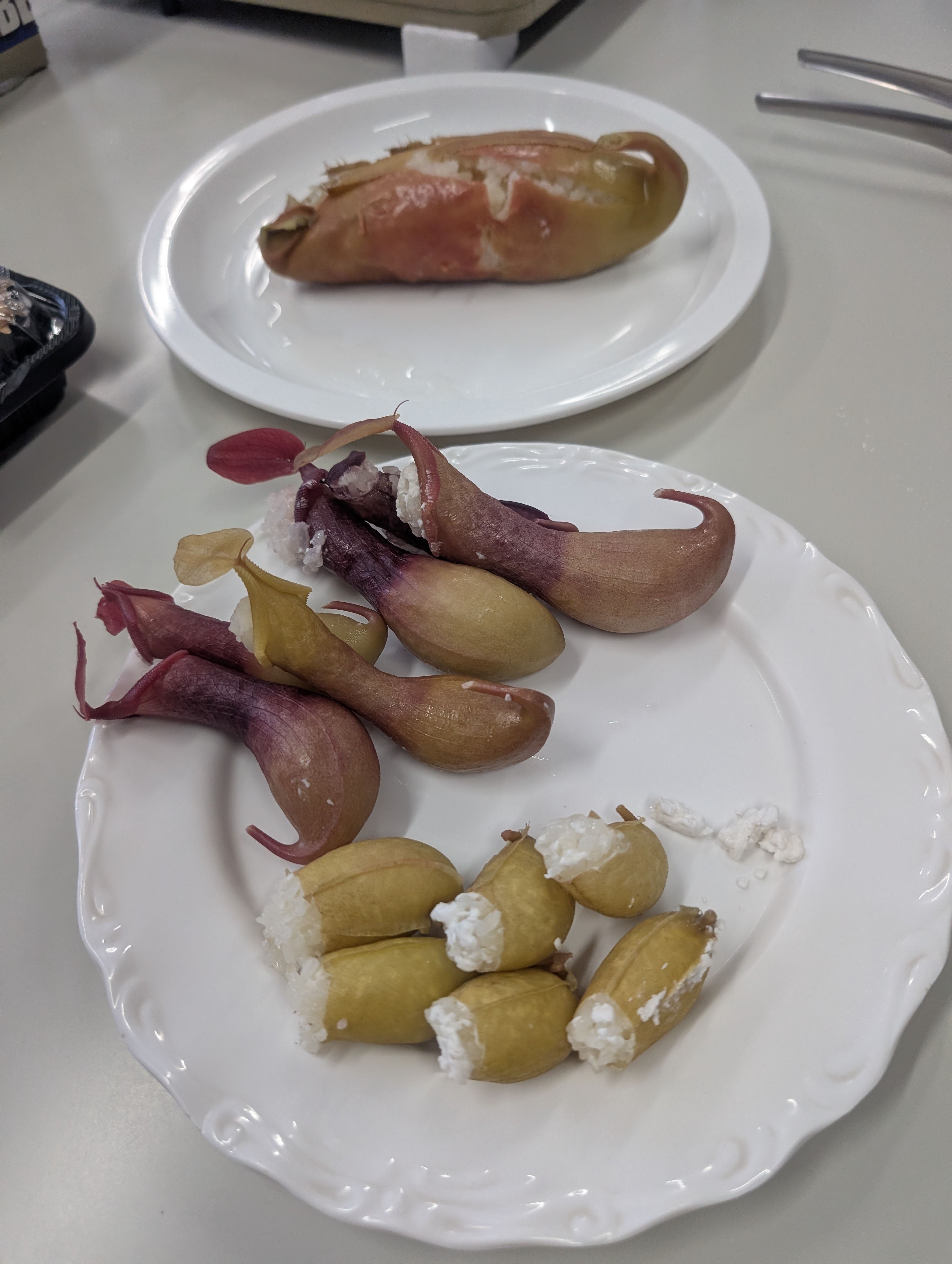 皿に盛り付けられたウツボカズラ飯
