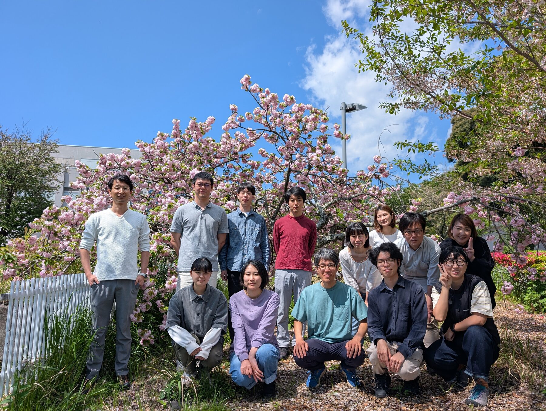 八重桜の前で撮影した植物進化研究室の集合写真
