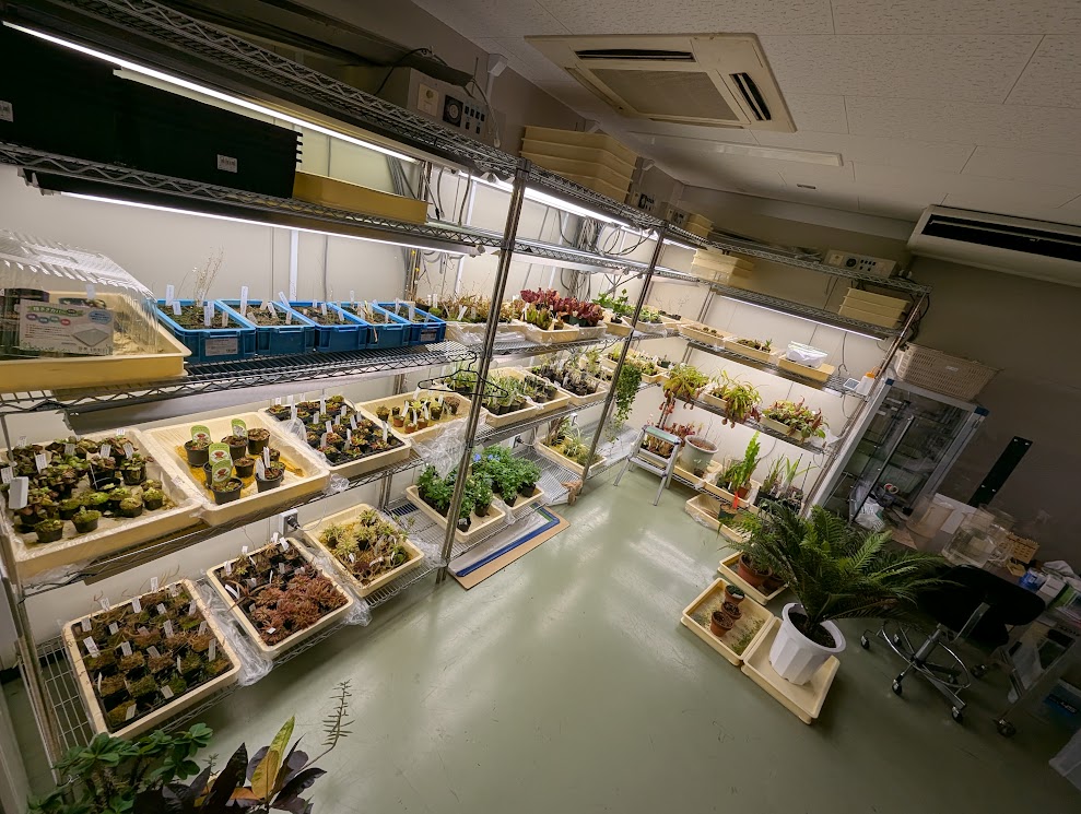 Carnivorous plant cultivation room