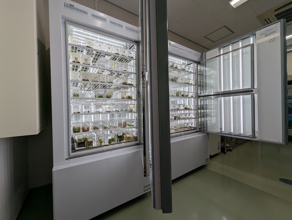Incubators