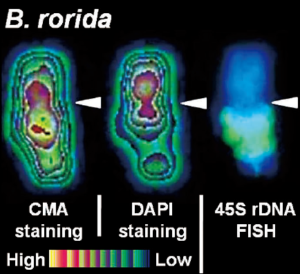 Fukushima2008.png