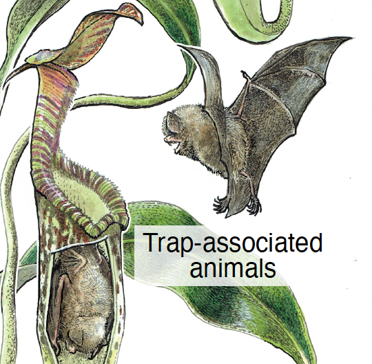 monteroNonpreyBioticInteractions2023.png